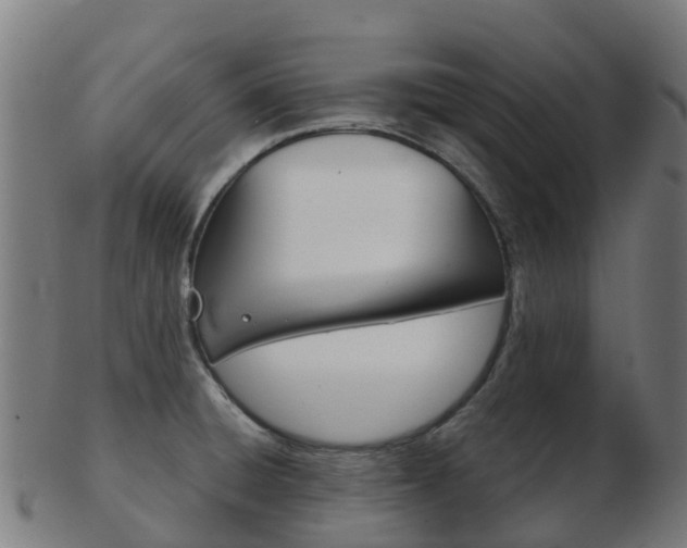 X0000103501428200809121002