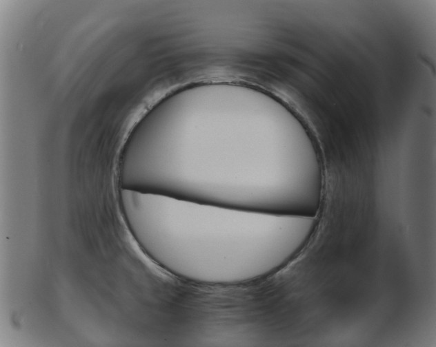X0000103501429200809121002