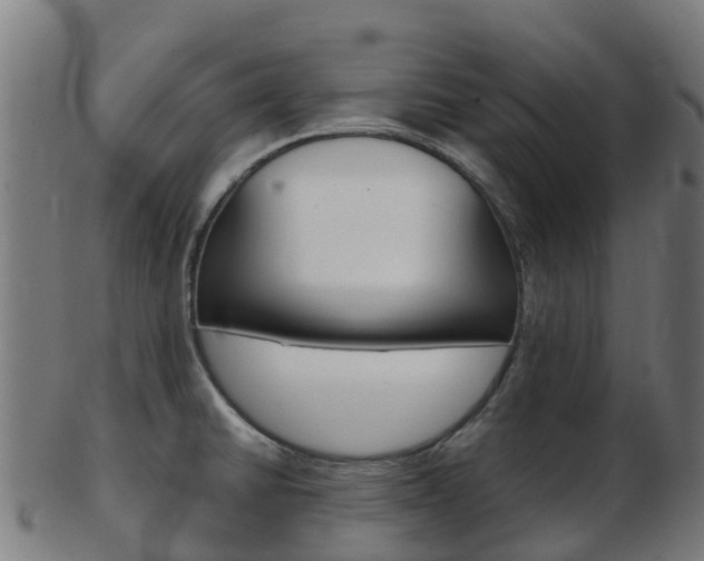 X0000103501430200809121002