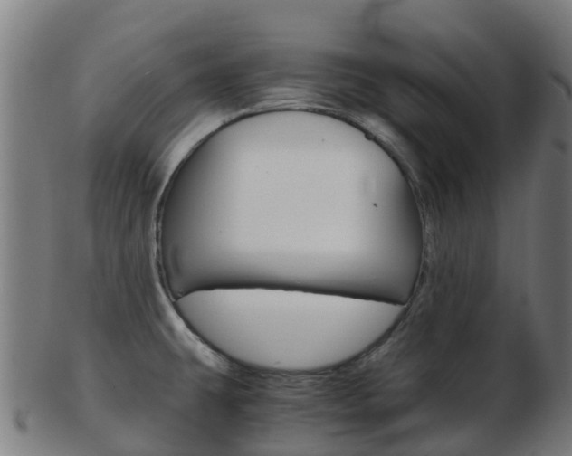 X0000103501431200809121002