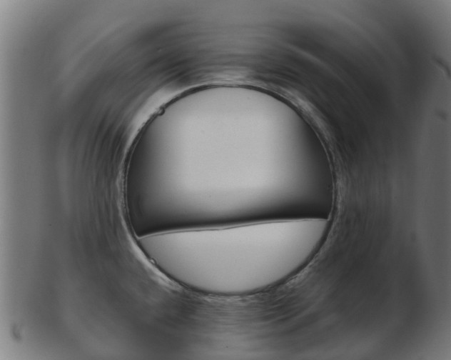 X0000103501432200809121002