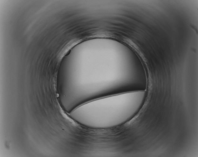 X0000103501433200809121002