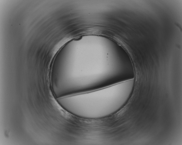 X0000103501434200809121002