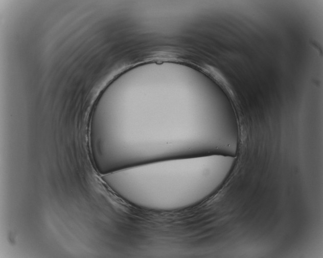 X0000103501435200809121002