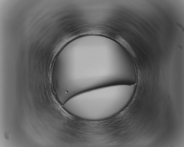 X0000103501436200809121002