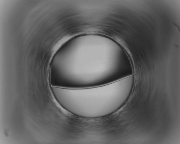 X0000103501437200809121002