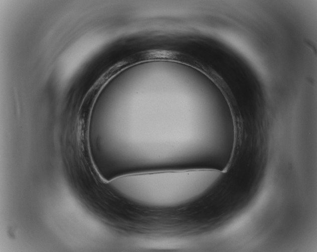 X0000103501438200809121002