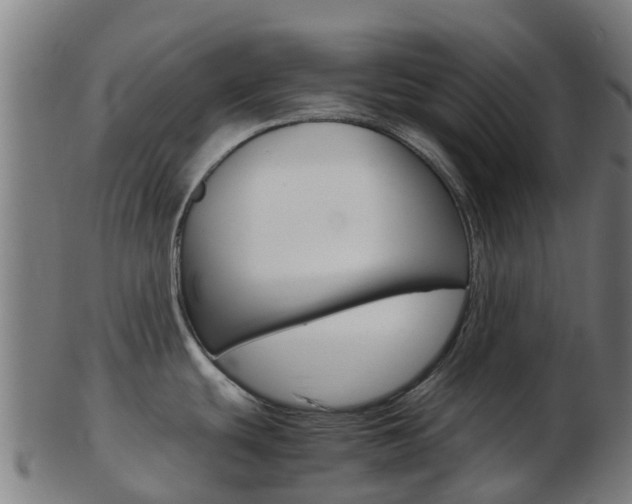 X0000103501439200809121002