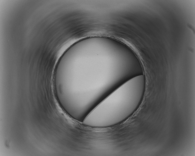 X0000103501440200809121002