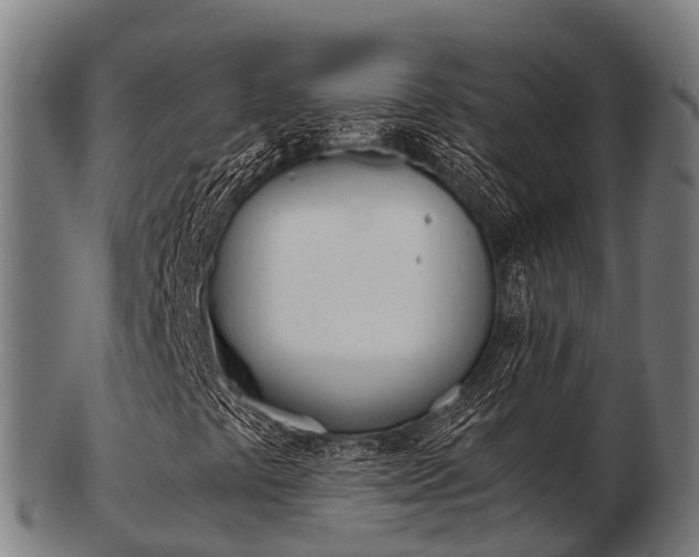 X0000103501441200809121002