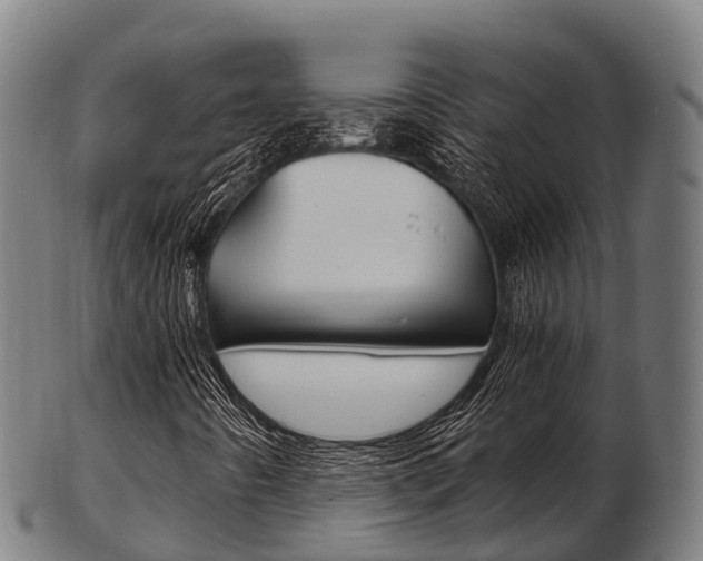 X0000103501442200809121002