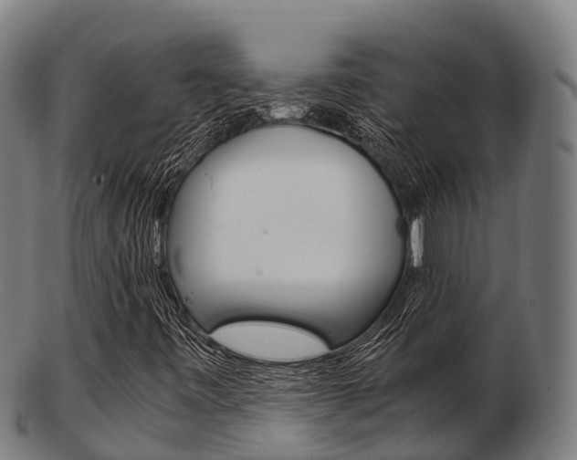 X0000103501443200809121002