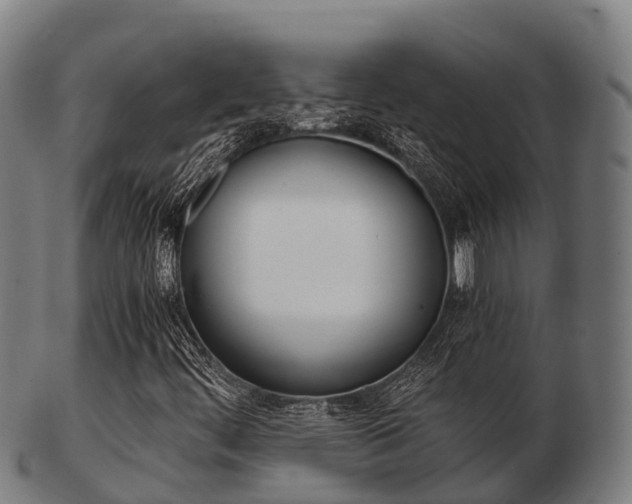 X0000103501444200809121002