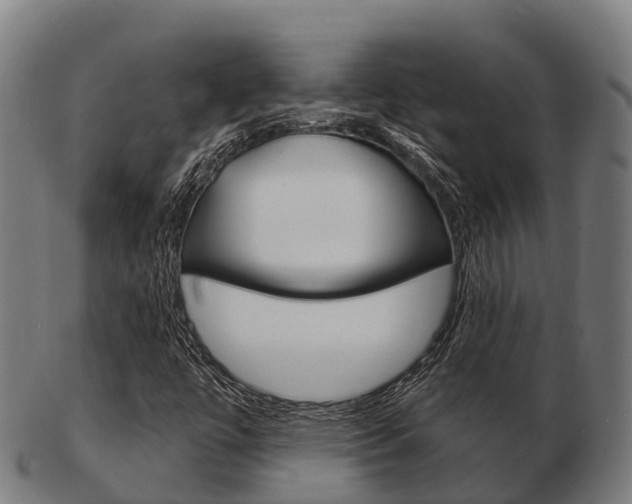 X0000103501447200809121002