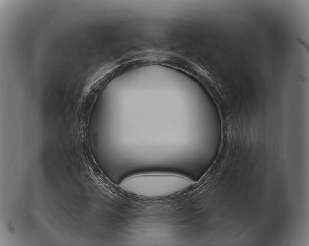X0000103501448200809121002