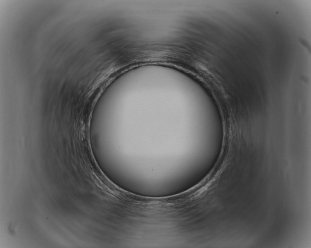 X0000103501449200809121001