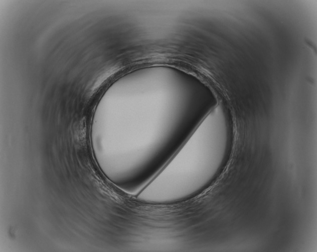 X0000103501450200809121001