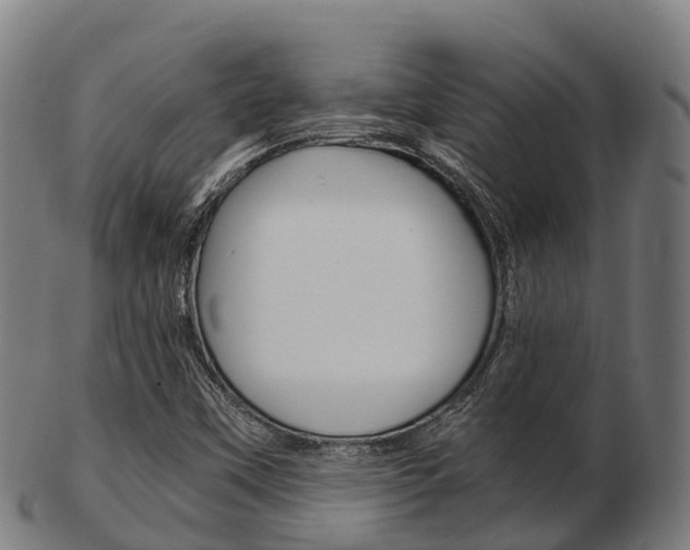 X0000103501451200809121001