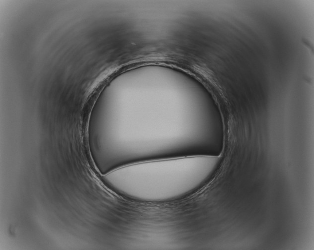 X0000103501452200809121001