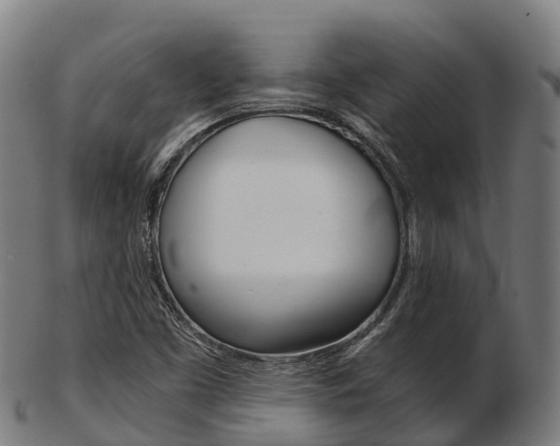 X0000103501453200809121001