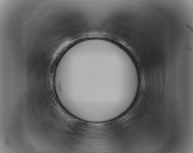 X0000103501454200809121001