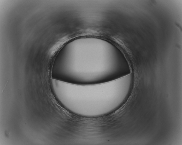 X0000103501455200809121001