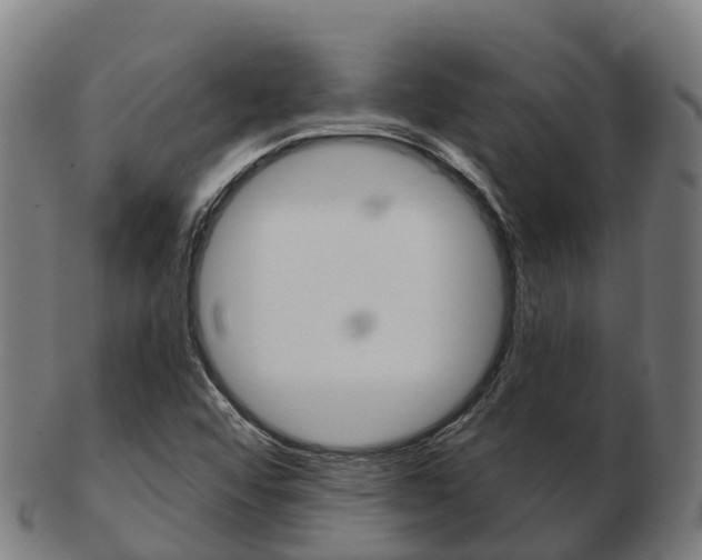 X0000103501456200809121001