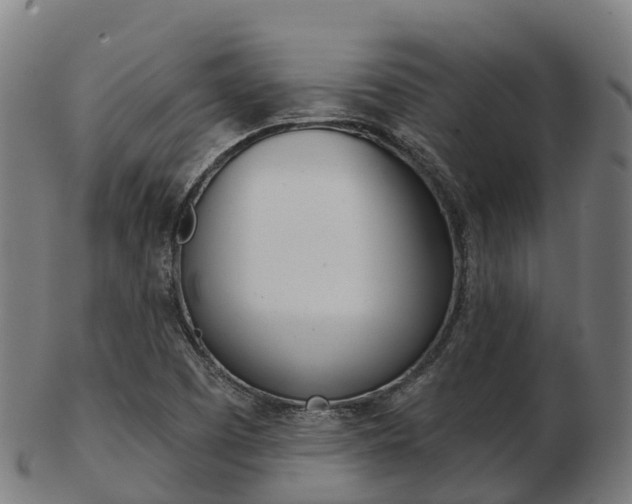 X0000103501457200809121001
