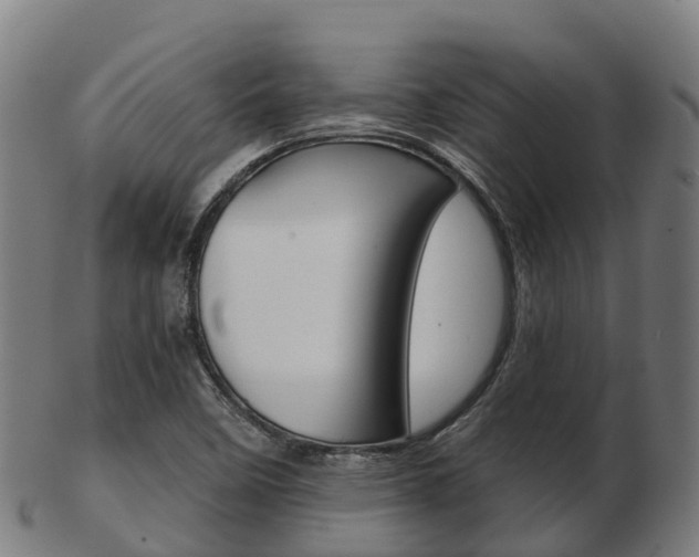 X0000103501458200809121001