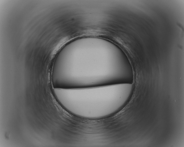 X0000103501459200809121001
