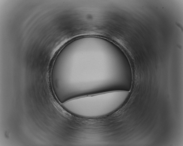 X0000103501460200809121001