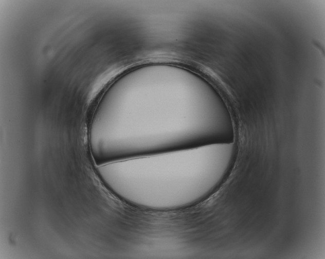 X0000103501461200809121001