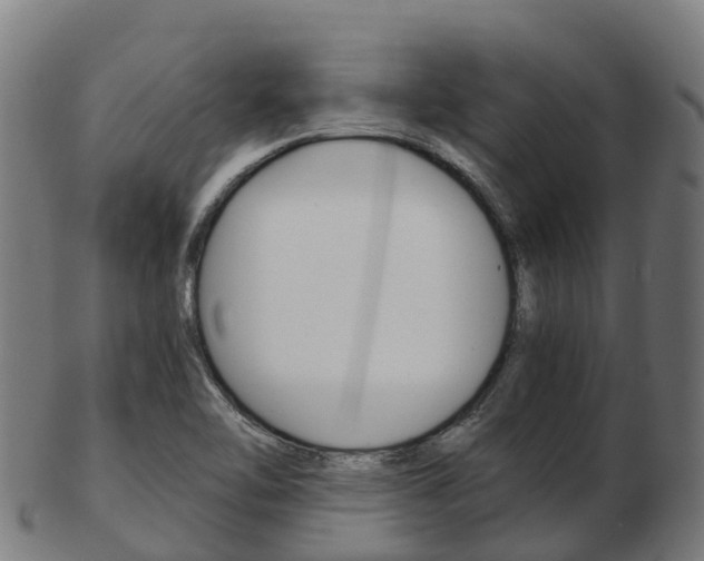 X0000103501462200809121001