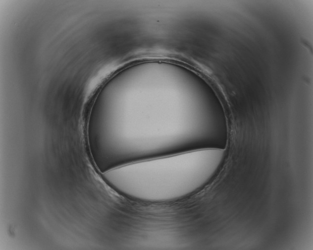 X0000103501464200809121001