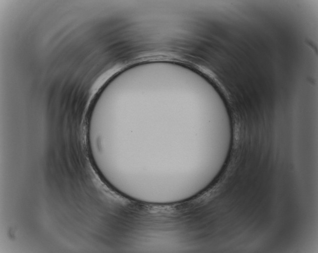 X0000103501466200809121001
