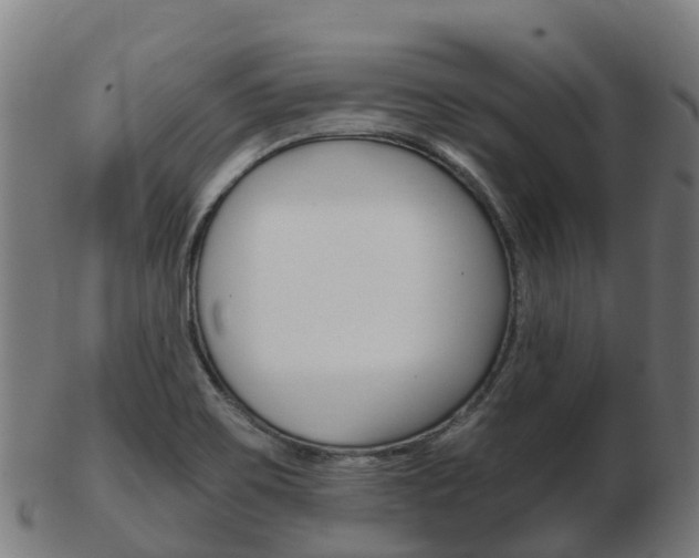 X0000103501467200809121001