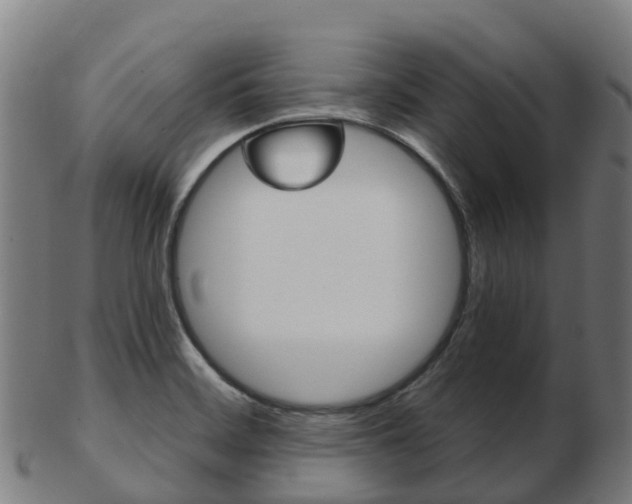 X0000103501468200809121001