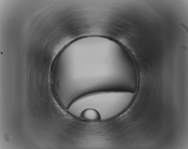X0000103501469200809121001