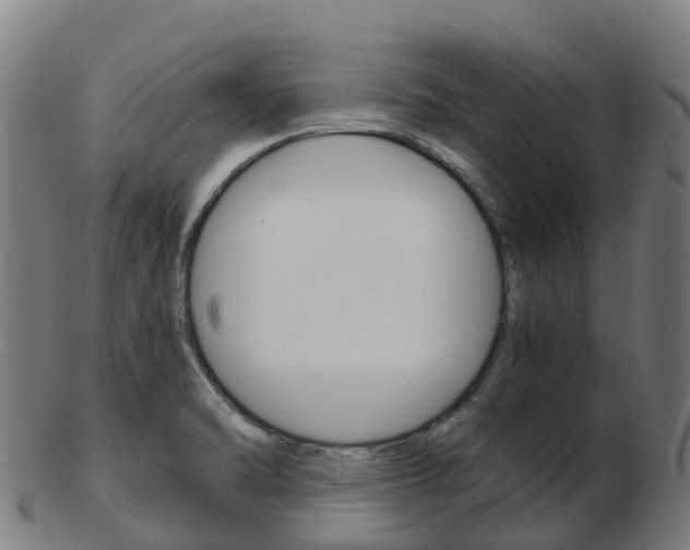 X0000103501470200809121001