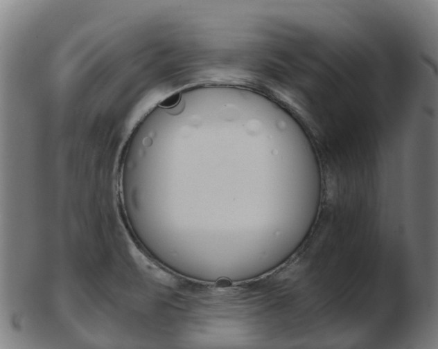 X0000103501471200809121001