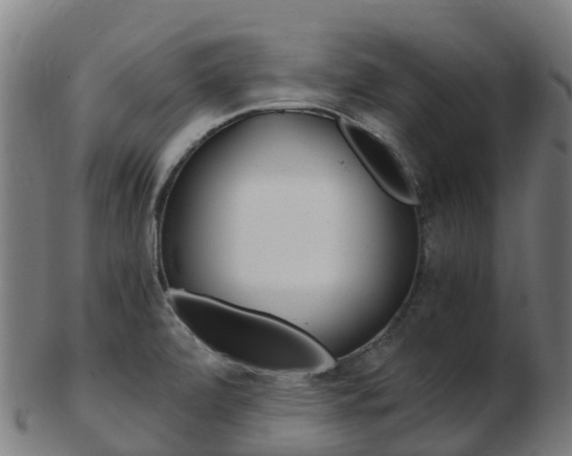 X0000103501472200809121001