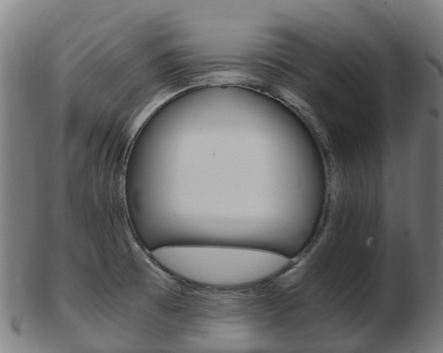 X0000103501473200809121001