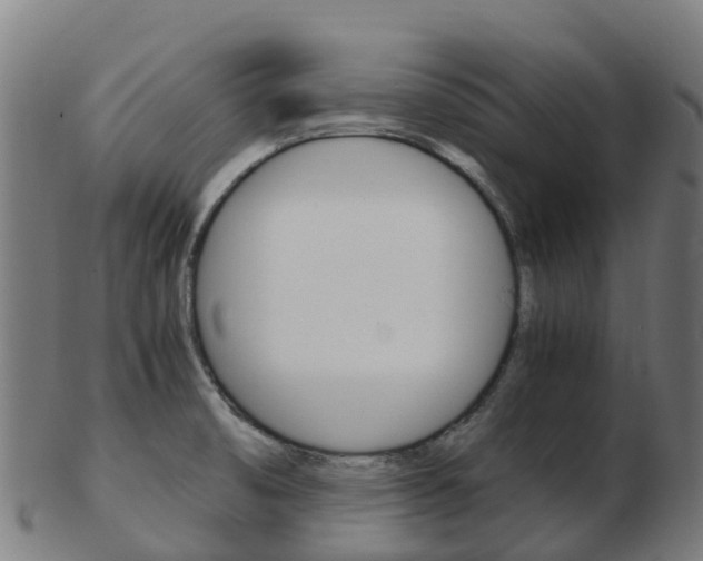X0000103501474200809121001