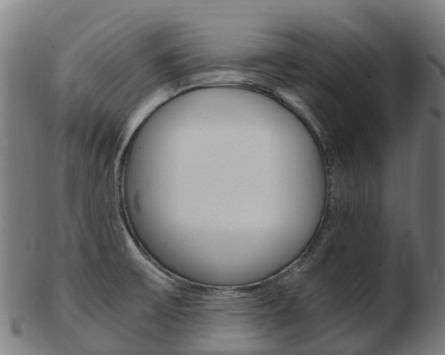 X0000103501475200809121001