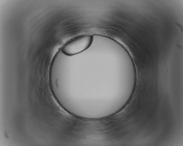 X0000103501477200809121001