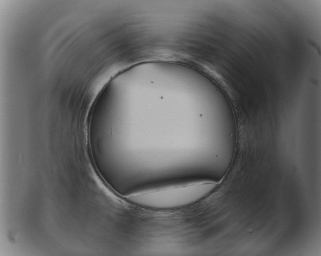 X0000103501479200809121001