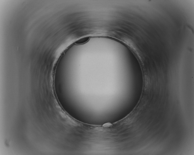 X0000103501480200809121001