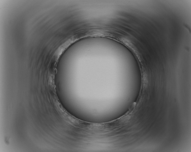 X0000103501481200809121001