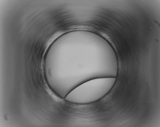 X0000103501482200809121001
