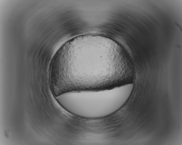 X0000103501483200809121001